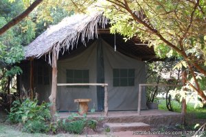 Enchoro Wildlife Tented Camp Masai Mara | Masai Mara, Kenya Bed & Breakfasts | Nairobi, Kenya Accommodations