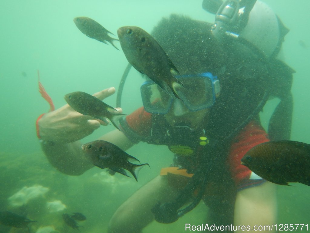 Scuba | Scuba Diving and 20+ adventure water sports Baga. | Image #3/9 | 