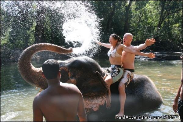 Elephant bath at spice plantation. | Scuba Diving and 20+ adventure water sports Baga. | Image #8/9 | 