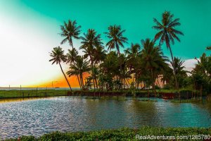 Relax in Kerala|Best Travel Packages in Kumarakom | Kottayam, India Hotels & Resorts | Mumbai, India Hotels & Resorts