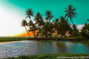 Relax in Kerala|Best Travel Packages in Kumarakom | Kottayam, India Hotels & Resorts | Great Vacations & Exciting Destinations