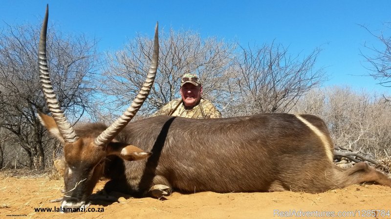 Hunt | African Bush hunting and safari | Image #19/26 | 