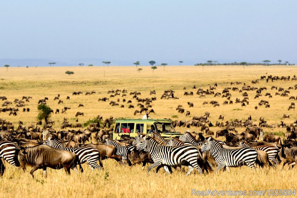 Open Trip Tanzania | Image #8/16 | 