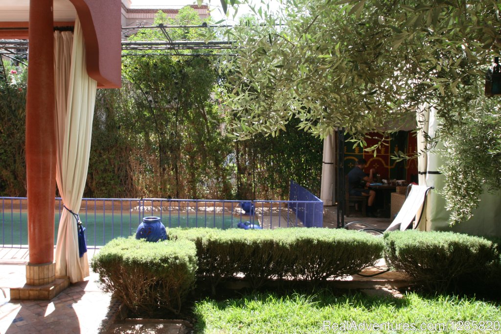 Gardens & pool of Villa Africa | Marrakech Cooking School - Daily Cooking Classes | Image #19/23 | 