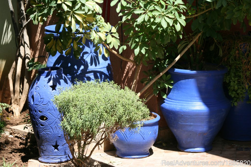 Majorelle pots at Villa Africa | Marrakech Cooking School - Daily Cooking Classes | Image #22/23 | 