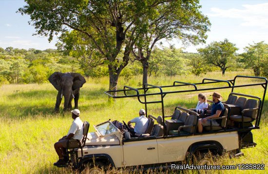 Tour Packages for all : Chalo South Africa | Chalo South Africa | Image #2/8 | 