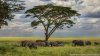 Comeandseeadventures | Arusha, Tanzania