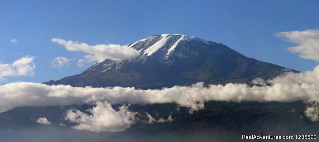 Kilimanjaro Mountain Trekking | Comeandseeadventures | Image #4/8 | 