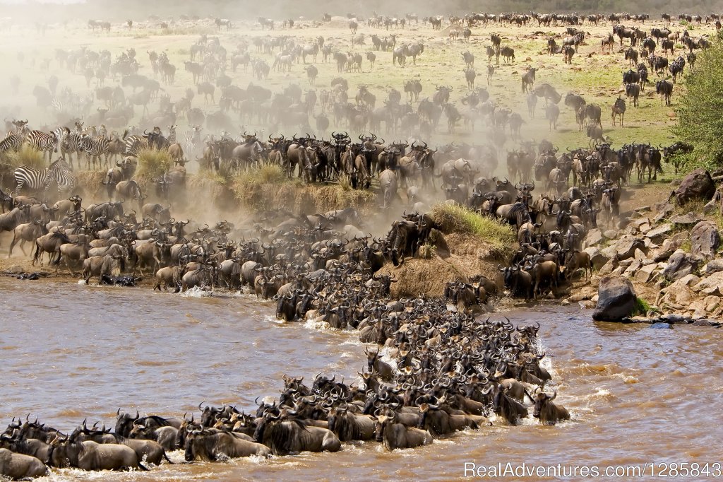 Budget & Luxury Safaris in Kenya & Tanzania | Image #2/2 | 