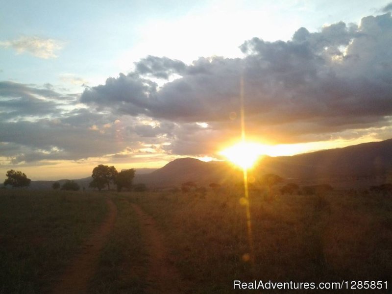 Kenya Safari Package | Holiday Tour Packages | Image #2/6 | 