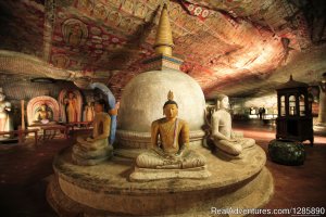 Visit Sri Lanka | Maharagama, Sri Lanka Wildlife & Safari Tours | Anuradhapura, Sri Lanka