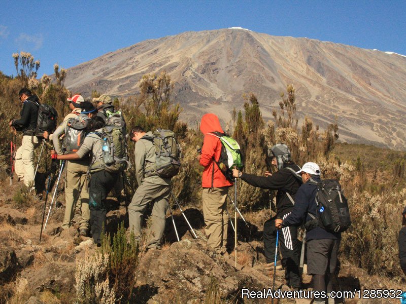 Climb slow slow | Kilimanjaro climb from $1196 by local operator | Image #3/4 | 