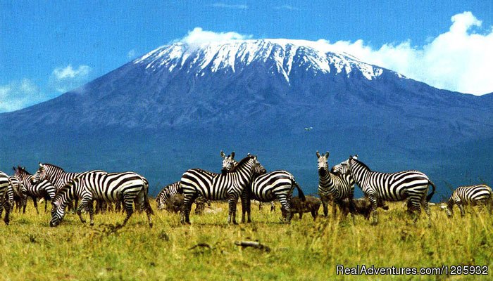 Enjoy the nature | Kilimanjaro climb from $1196 by local operator | Image #4/4 | 