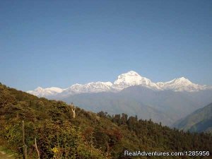 Ghorepani Poon Hill Trek