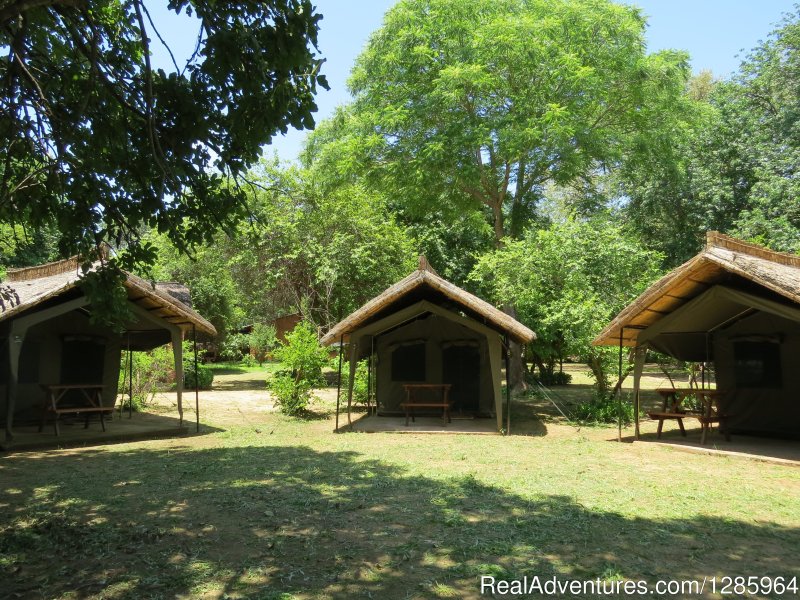 Backpacker Tents | Affordable Safari Holidays at Croc Valley Camp | Image #8/22 | 