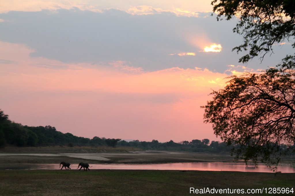 Elephants at the lagoon | Affordable Safari Holidays at Croc Valley Camp | Image #10/22 | 