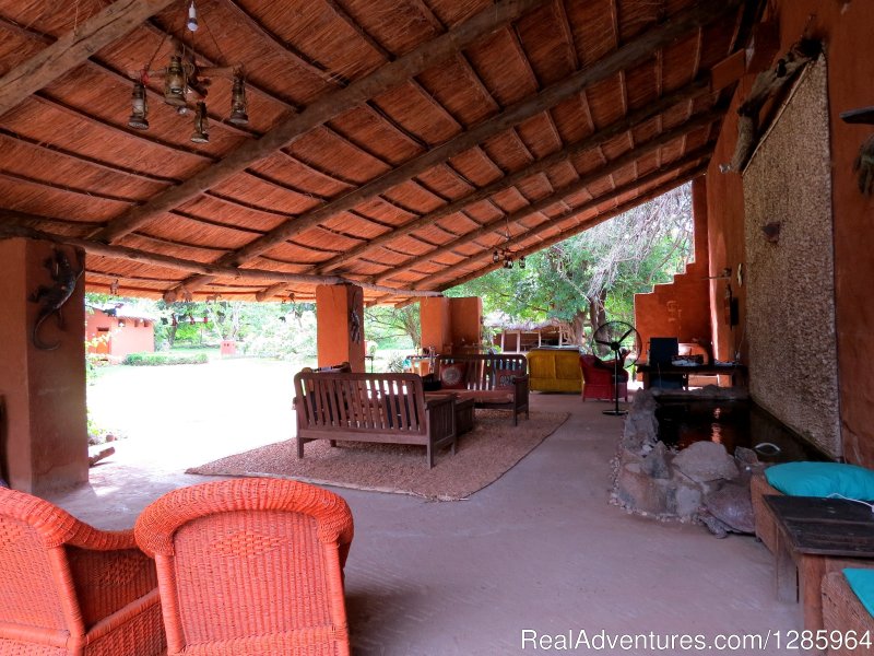 Lounge area | Affordable Safari Holidays at Croc Valley Camp | Image #12/22 | 