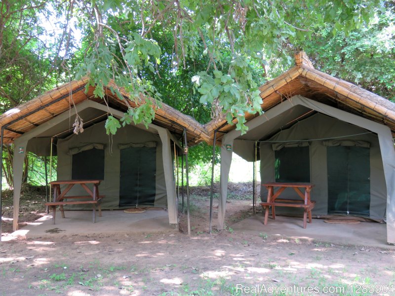 Turtle Tents | Affordable Safari Holidays at Croc Valley Camp | Image #16/22 | 