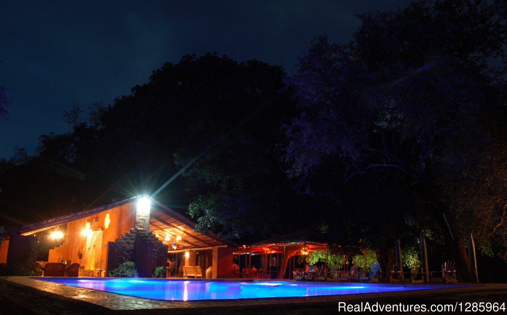 Croc Valley at night | Affordable Safari Holidays at Croc Valley Camp | Mfuwe, Zambia | Bed & Breakfasts | Image #1/22 | 