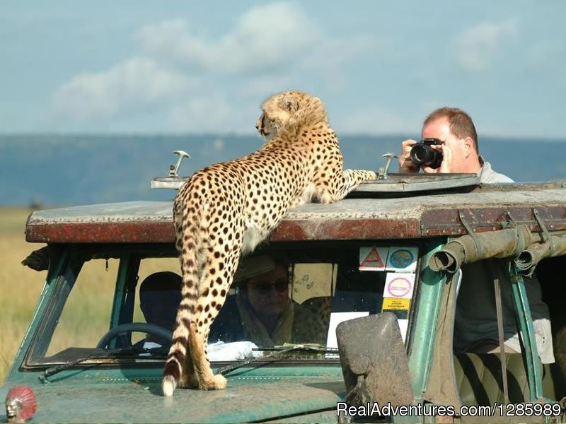 Siku Njema Tours and Safaris | Image #2/2 | 