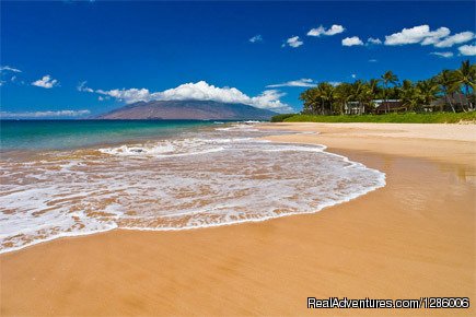 Maui Legend Tours | Kula, Hawaii  | Sight-Seeing Tours | Image #1/1 | 