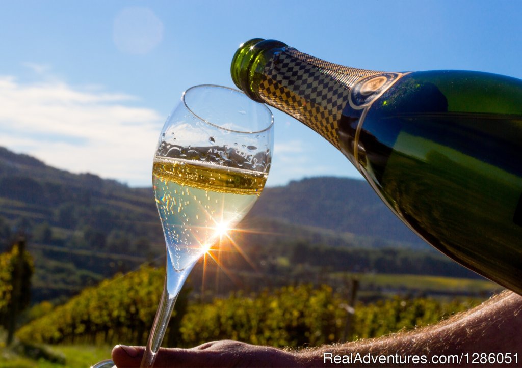 Cava tasting in the Penedes region of Catalonia | Discover the hidden Catalonia and Spain | Image #6/6 | 