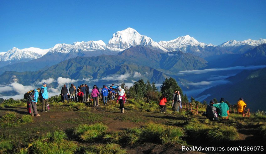 View from poonhill | Nepal Multi Adventure Tour | Kathmandu, Nepal | Hiking & Trekking | Image #1/3 | 