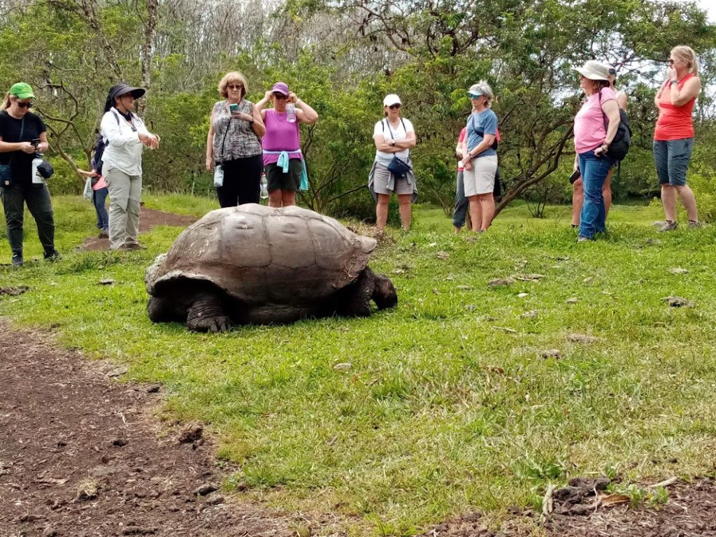 Galapagos | 6 Day Galapagos Amazing | Quito, Ecuador | Wildlife & Safari Tours | Image #1/6 | 