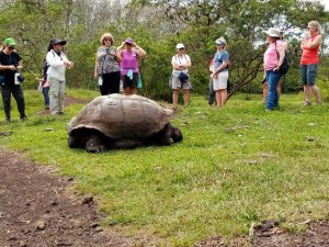 6 day Galapagos Amazing | Quito, Ecuador Wildlife & Safari Tours | South America