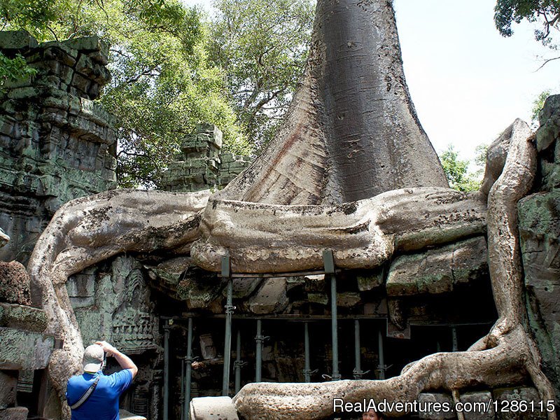 Ta Prohm Temple 01 | Cambodia Private Tour Packages | Image #3/12 | 