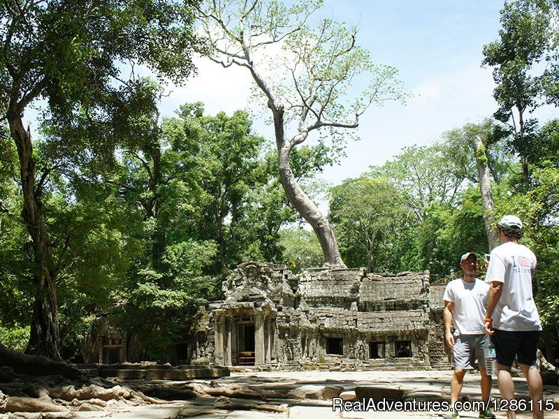 Ta Prohm Temple 02 | Cambodia Private Tour Packages | Image #4/12 | 