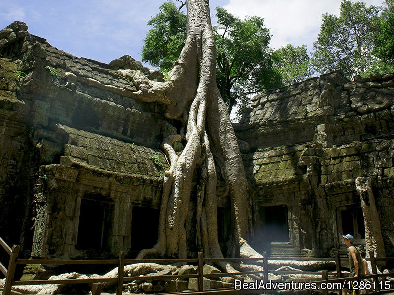 Ta Prohm Temple 03 | Cambodia Private Tour Packages | Image #5/12 | 