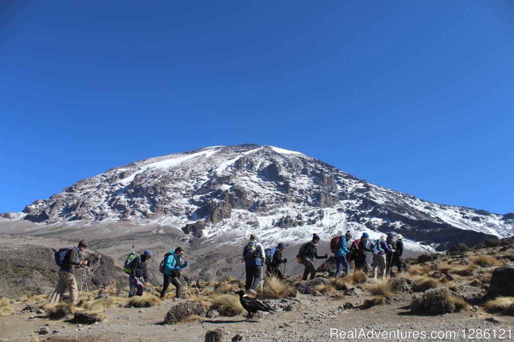 Mount Kilimanjaro | Safe and fun Adventure | Moshi, Kilimanjaro Region, Tanzania | Hiking & Trekking | Image #1/22 | 