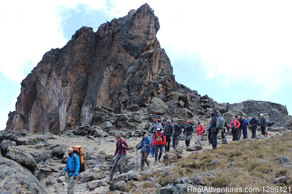 Mount Kilimanjaro | Safe and fun Adventure | Image #13/22 | 