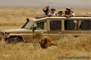 African Jambo Safaris | Arusha, Tanzania Eco Tours | Kenya Eco Tours