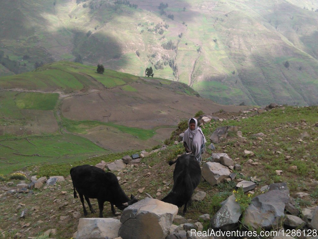Tour and Travel around Lalibela, Ethiopia | Access Eco Trekking Ethiopia Tours | Image #5/5 | 