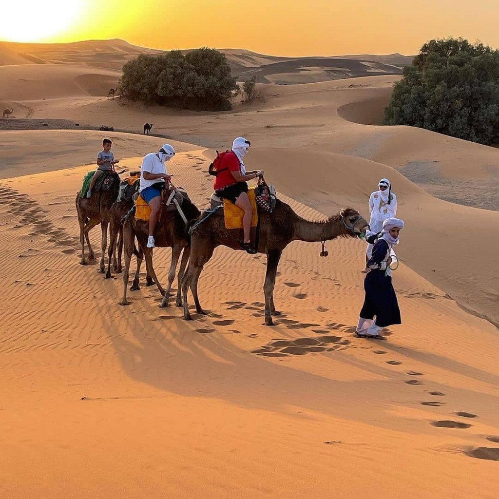 Sunset In This Desert By Camel | Night In Merzouga Desert By Camel Ride | Image #7/8 | 