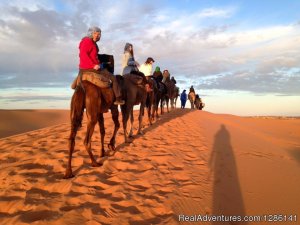 Night in Merzouga desert by Camel ride