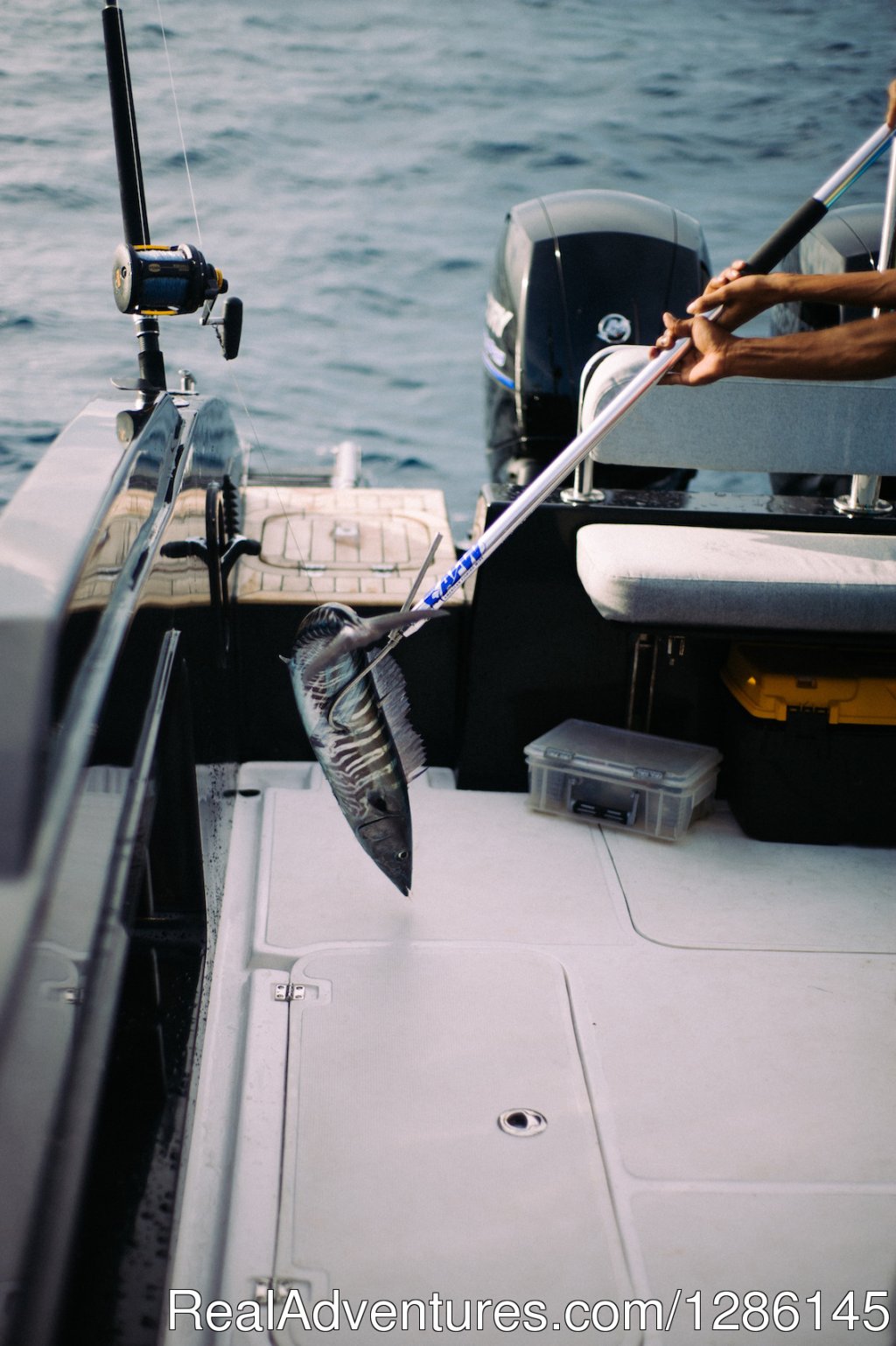 Wahooo | Kraken II Game Fishing & Excursion Charter | Image #8/8 | 