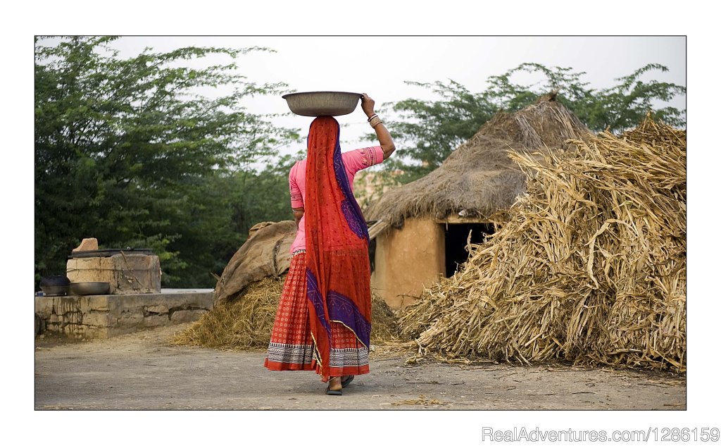 Jodhpur Trip | nature: Eco Tours | Image #5/9 | 