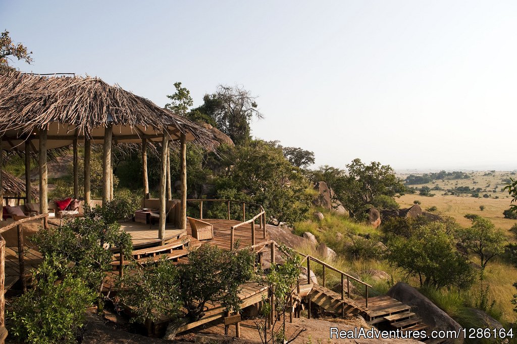 African Safari | 5 Days Tanzania lodge Safari | Image #2/7 | 