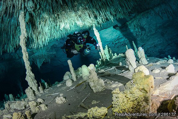 Cave Diving Trip | Advanced Diver Mexico | Image #2/3 | 