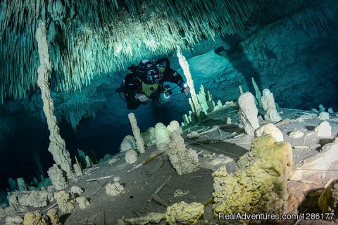 Cave Diving Trip