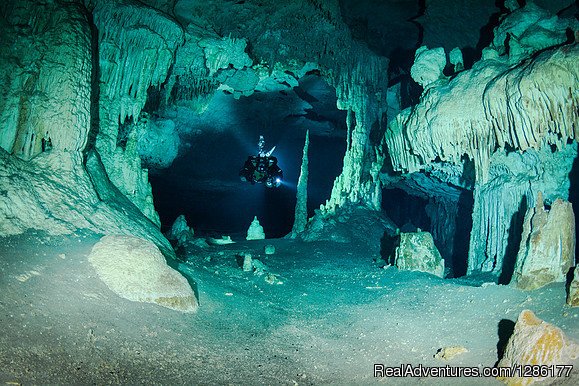 Cave Diving Trip | Advanced Diver Mexico | Image #3/3 | 