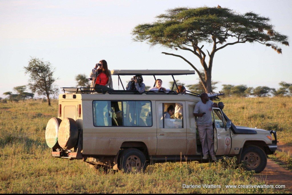 Tanzania wildlife adventure 10 Days | Image #3/8 | 