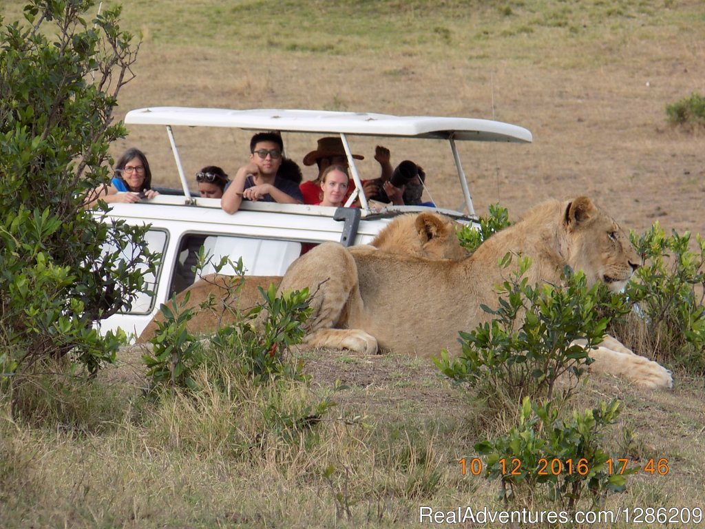 6 Days Incredible Kenya Wildlife Adventure Tour | Image #4/19 | 