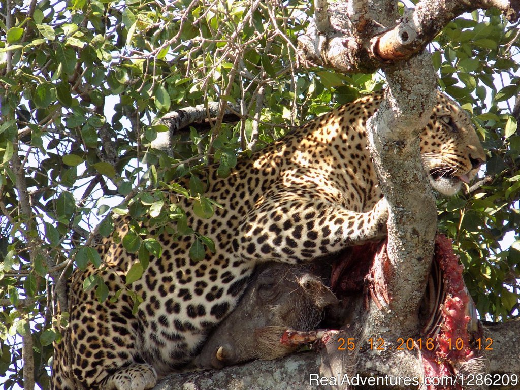 6 Days Incredible Kenya Wildlife Adventure Tour | Image #6/19 | 
