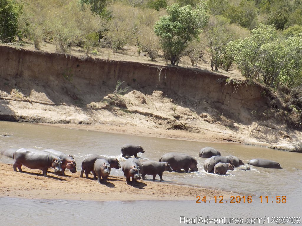 6 Days Incredible Kenya Wildlife Adventure Tour | Image #8/19 | 