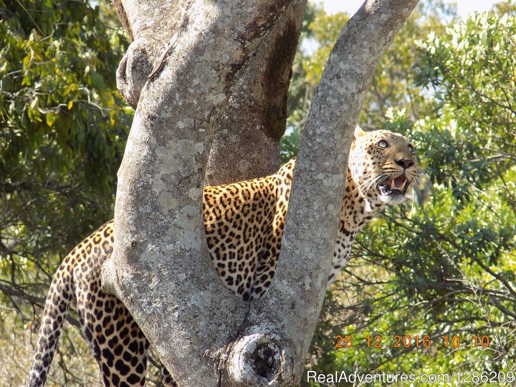 6 Days Incredible Kenya Wildlife Adventure Tour | Image #9/19 | 