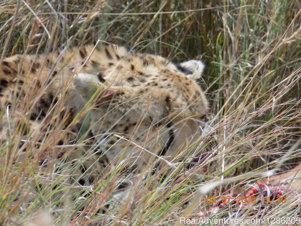 6 Days Incredible Kenya Wildlife Adventure Tour | Image #12/19 | 